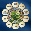 Star Oil Vine Tea