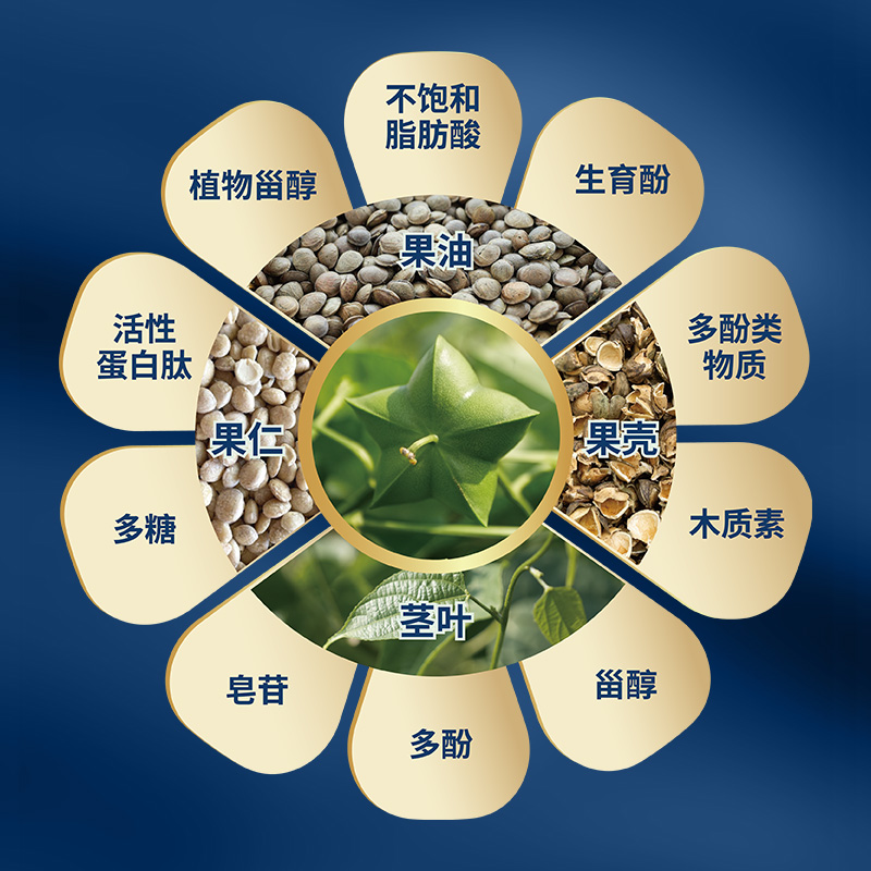 Star Oil Vine Tea
