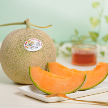 Hokkaido Red Melon
