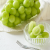 Japanese Shine muscat grape